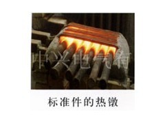 供應(yīng)標(biāo)準(zhǔn)件透熱設(shè)備專用的透熱爐 - 工業(yè)電爐 - 電熱設(shè)備 - 電工電氣 - 供應(yīng) - 切它網(wǎng)(QieTa.com)